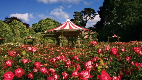 Sir Thomas & Lady Dixon Park