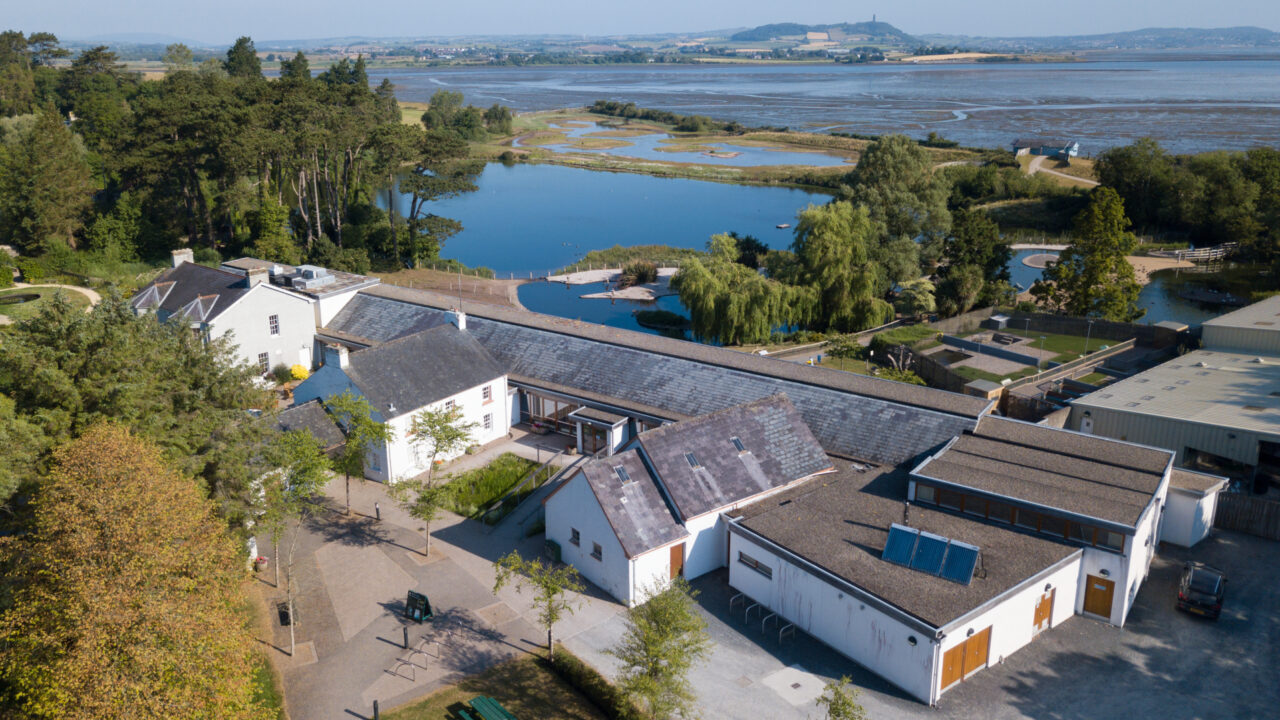 Hero image WWT Castle Espie aerial