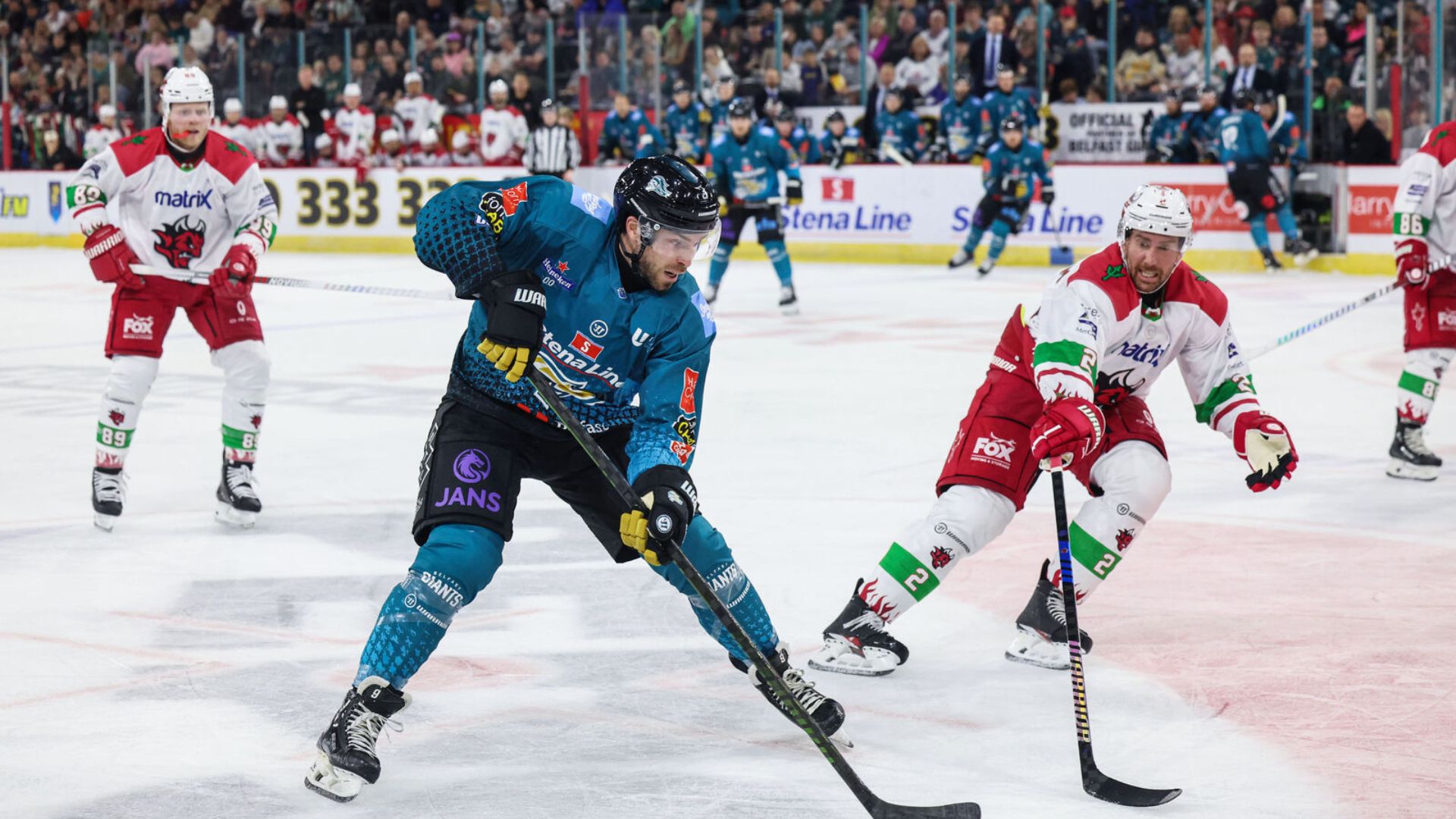 Autumn Events and Festivals in Belfast | Family Friendly, Things To Do