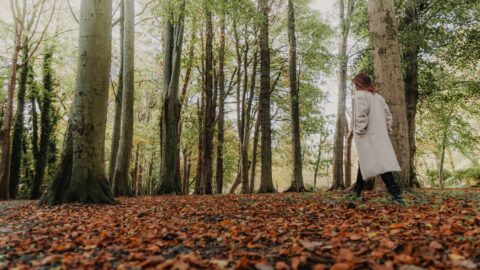 Top things to do in Belfast this Autumn