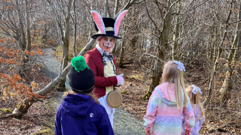 Easter Egg Hunt Trail, Crafting, Storytelling & Family Event with Alpacas