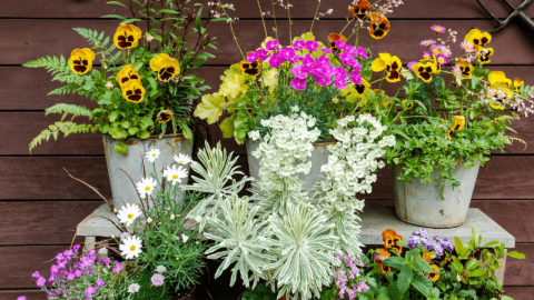 Pots, Petals and Pizza Evening