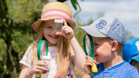 Easter Weekend: Minibeast Hunting