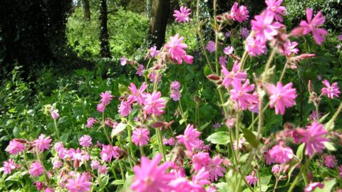 Spring Discovery Morning