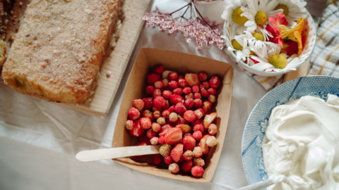 Summer Foraging Workshop at Ulster Folk Museum
