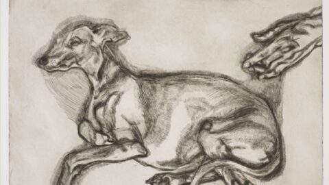 Lucian Freud’s Etchings: A Creative Collaboration at Titanic Belfast