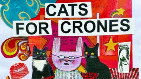 Spotlight on…Mr. Papers!