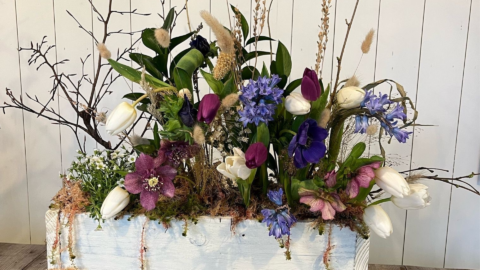Create Your Own Spring Garden Box – Experience AND 2025