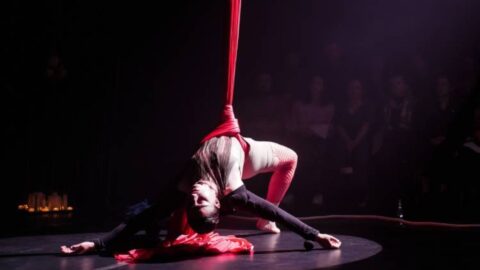 VARC – Visual Audio Radical Circus